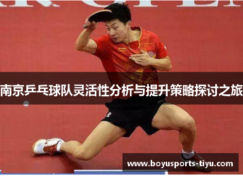 南京乒乓球队灵活性分析与提升策略探讨之旅