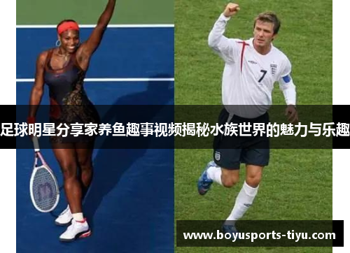 足球明星分享家养鱼趣事视频揭秘水族世界的魅力与乐趣