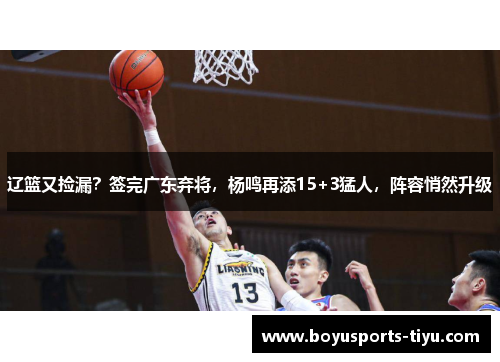 辽篮又捡漏？签完广东弃将，杨鸣再添15+3猛人，阵容悄然升级